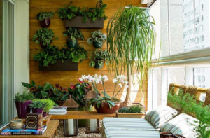 identificar plantas, jardinagem